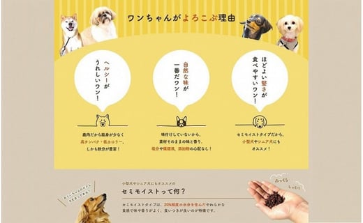 ワンちゃんに大人気 完全無添加 鹿肉ジャーキー 大分県佐伯市 ふるさと納税 ふるさとチョイス