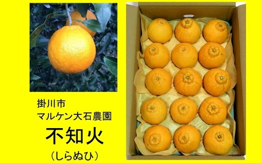 アイテムID:357624の画像4枚目