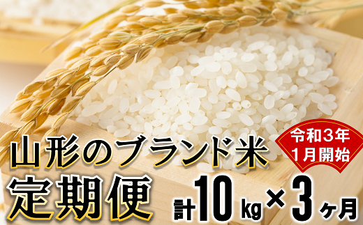 1157 令和3年1月開始 山形のブランド米 定期便 10kg 3ヶ月 山形県南陽市 ふるさと納税 ふるさとチョイス