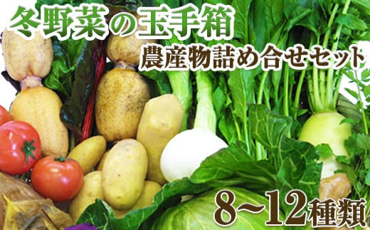 冬野菜の玉手箱 農産物詰合せセット たっぷり8 12品目 1月中旬 3月末頃より順次出荷 熊本県氷川町産 道の駅竜北 熊本県氷川町 ふるさと納税 ふるさとチョイス