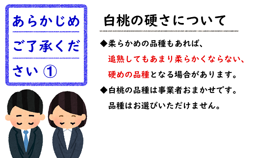 お申し込みの前に、ご確認ください。