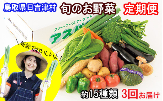 TA01：【定期便】ふるさと野菜詰め合わせ（３回お届け）