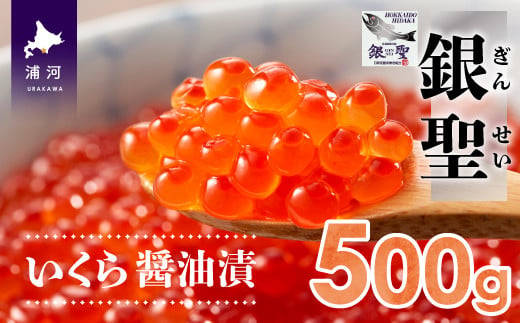 前浜産 ブランド銀毛鮭(天然)「銀聖」いくら醤油漬(500g×1箱)[02-218