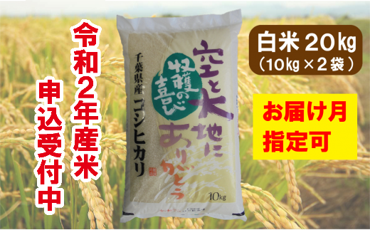 I01 700 長生産コシヒカリ 白米kg 令和2年産新米 配送月指定可 千葉県長生村 ふるさと納税 ふるさとチョイス