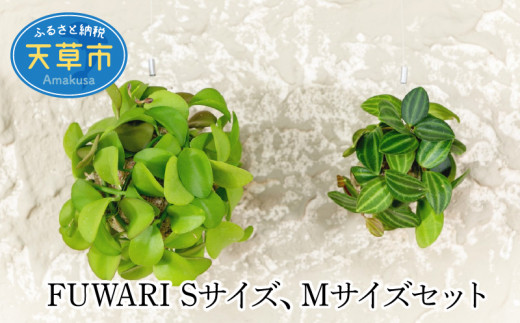 GRAVIRoN Hang Plants シリーズ Round 酸洗鉄（プランツハンガー