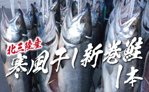 【年内発送】 北三陸産 寒風干し新巻鮭 1本 数量限定 海鮮 魚介 魚介類 魚 鮭 サケ さけ しゃけ サーモン 味付き 年内配送 年内お届け 1748336 - 岩手県普代村