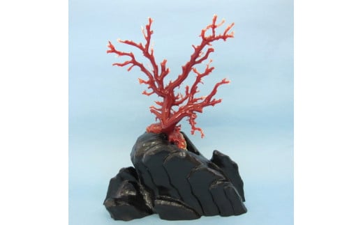 珊瑚職人館の珊瑚の原木・拝見・置物（g12）