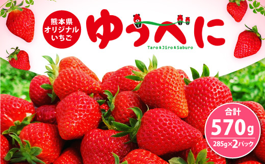 事前受付 やつしろの昭和いちご ゆうべに 285g 2p 計570g 熊本県八代市 ふるさと納税 ふるさとチョイス