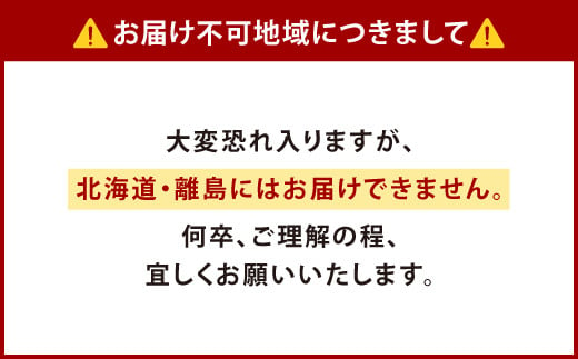 事前受付 やつしろの昭和いちご ゆうべに 285g 4p 計1140g 熊本県八代市 ふるさと納税 ふるさとチョイス