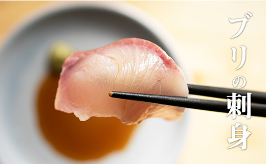 ブリまるごと1本 高知県大月町 ふるさと納税 ふるさとチョイス