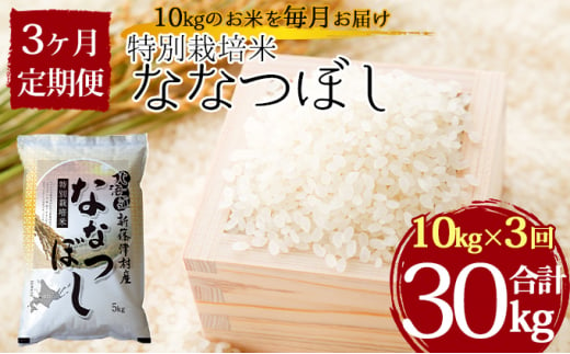 特別栽培米ななつぼし10kg×3ヶ月連続お届け 1272128 - 北海道新篠津村