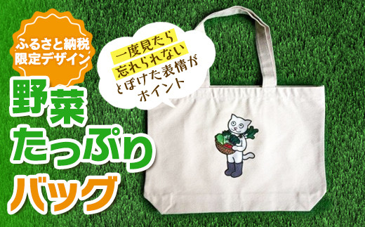 野菜たっぷりバッグ 茨城県つくばみらい市 ふるさとチョイス ふるさと納税サイト