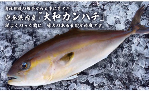 A129 大和海商 大和カンパチの切り身 約600g 宮崎県延岡市 ふるさと納税 ふるさとチョイス