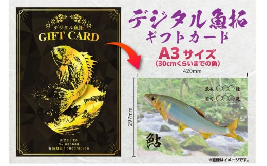 CM-020 【A3・デジタル魚拓ギフトカード】メモリアルフィッシュを釣れたてのままに。 323244 - 福岡県行橋市