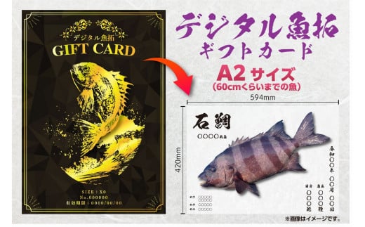CM-021 【A2・デジタル魚拓ギフトカード】メモリアルフィッシュを釣れたてのままに。 323245 - 福岡県行橋市