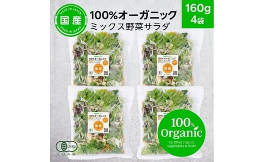 月2回発送 12カ月定期便 オーガニックサラダ 野菜 冷凍野菜 M 愛媛県大洲市 ふるさと納税 ふるさとチョイス