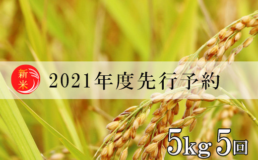 No.0988　先行予約【定期便5回】2021年度米　福島の美味しいお米を月イチ5回定期便・この美味しさをひとりじめ『コシヒカリ』合計25kg