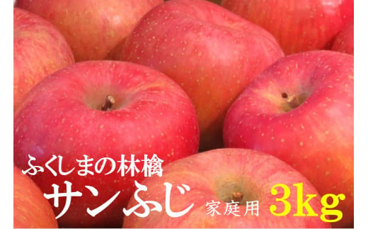 No.2064 りんご「サンふじ」家庭用 約3kg【2024年度発送】 256891 - 福島県福島市