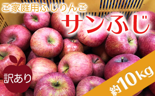 【2025年1月発送分先行受付】ご家庭用訳ありリンゴ（サンふじ）約10kg_H085(R6)-2 694675 - 山形県長井市