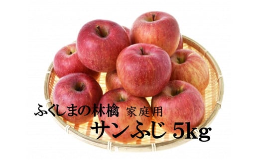 No.2065 りんご「サンふじ」家庭用 約5kg【2024年度発送】 256892 - 福島県福島市