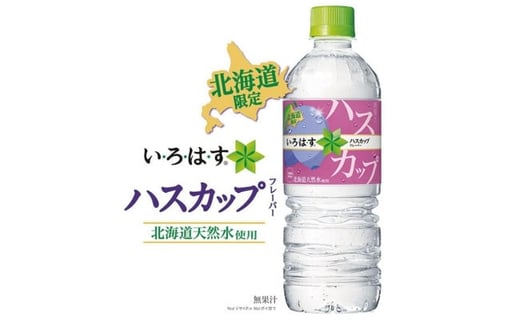 い ろ は す ハスカップ555mlpet 24本 北海道札幌市 ふるさと納税 ふるさとチョイス