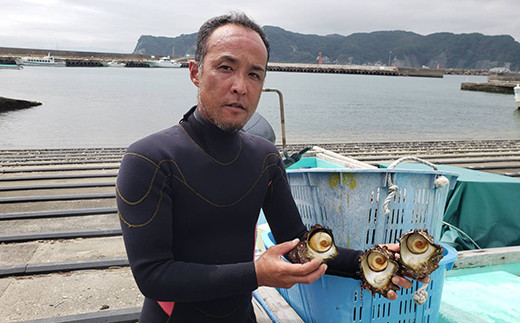 1 138 獲れたて直送の海の幸 房州 活きサザエ 1 5kg 千葉県鴨川市 ふるさと納税 ふるさとチョイス