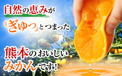 21年10月下旬より発送開始 訳あり 熊本県産 みかん 10 果物 柑橘 熊本県八代市 ふるさと納税 ふるさとチョイス