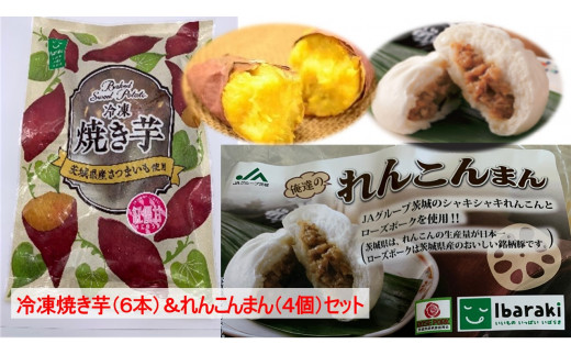 AE-38 冷凍焼き芋（6本）＆れんこんまん（4個）セット 257150 - 茨城県行方市