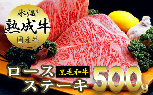 020C070 氷温(R)熟成牛 ロースステーキ【黒毛和牛】(2枚で合計500g)