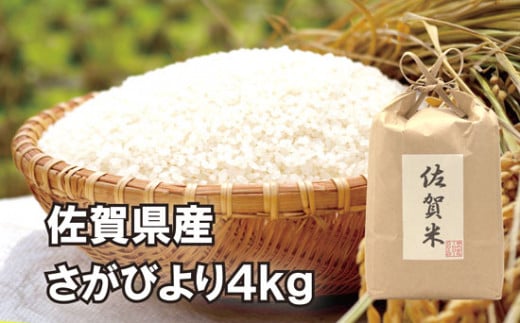 食味ランキング連続『特A評価』!! 佐賀県産さがびより4kg