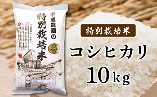 J0460 コシヒカリ 10kg特別栽培米 平成農園 長野県長野市 ふるさと納税 ふるさとチョイス