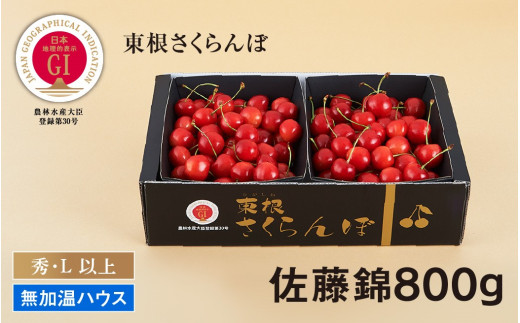 Gi 東根さくらんぼ さくらんぼ満喫コースpart2 21年5月下旬 6月上旬 ハウス栽培さくらんぼからスタート 定期便 E 1508 山形県東根市 ふるさと納税 ふるさとチョイス