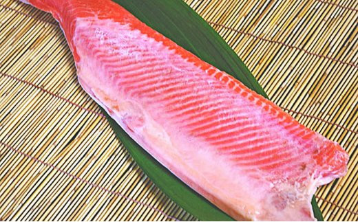 トラウトサーモン 加熱用 カット済半身 2 5651 0866 千葉県南房総市 ふるさと納税 ふるさとチョイス