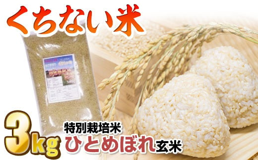 令和5年産  くちない米（特別栽培米ひとめぼれ玄米）3kg 1045396 - 岩手県北上市
