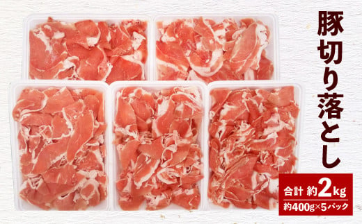093-476 大分県産 米の恵 豚 切落し 約2kg 約400g×5 豚肉 323381 - 大分県豊後大野市