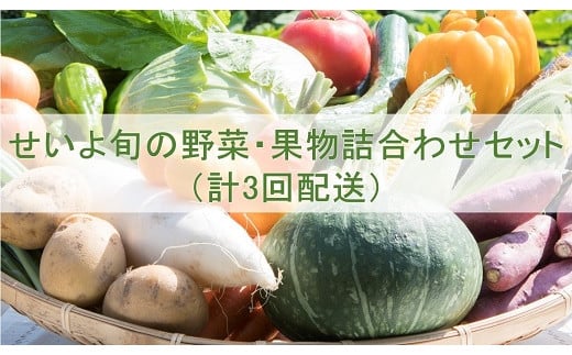 せいよ旬の野菜・果物詰合わせセット　月1回3か月（計3回配送） 257108 - 愛媛県西予市