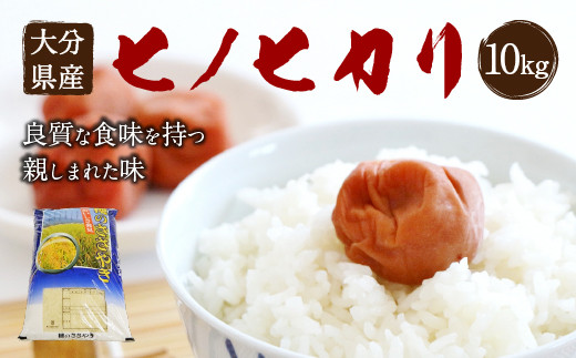 大分県産 ヒノヒカリ 10kg 精米 お米