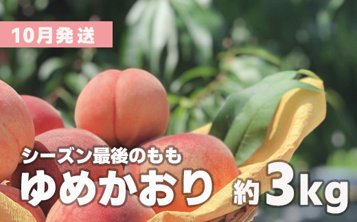 写真はイメージです