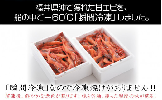 年2回お届け 漁船直送 船内瞬間冷凍 甘えび 約1 1 2回 計2 2 B 2301 福井県坂井市 ふるさと納税 ふるさとチョイス