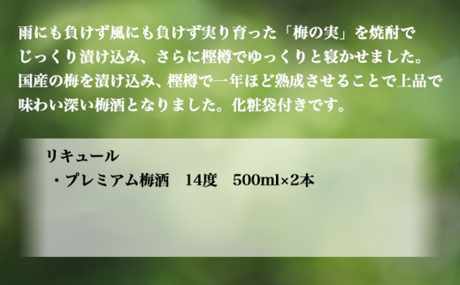 プレミアム梅酒500ml 2本 3802 宮崎県都城市 ふるさと納税 ふるさとチョイス