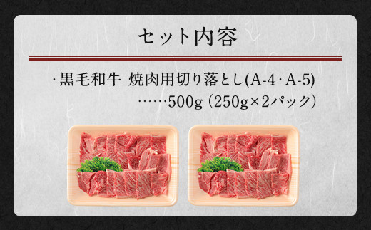 黒毛和牛 焼肉用 切り落とし 合計500g 250g×2パック 牛肉