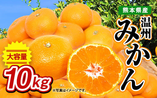 21年11月上旬より順次発送 熊本県産 温州みかん 10kg 果物 柑橘 みかん 熊本県八代市 ふるさと納税 ふるさとチョイス