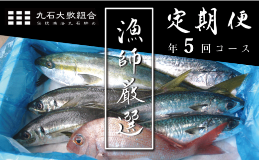 ふるさと納税 現役漁師厳選 旬のお魚定期便 年5回コース Ko1000 高知県須崎市 ふるさと納税 ふるさとチョイス