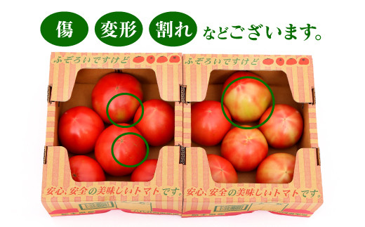 【訳あり】八代産 トマト 2㎏ 新鮮 野菜