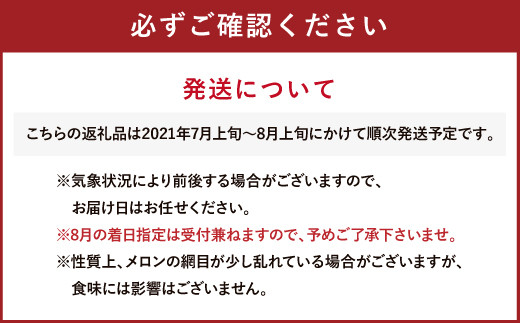 7月上旬 順次発送 肥後グリーン メロン 2玉 4kg以上 青肉 果物 熊本県美里町 ふるさと納税 ふるさとチョイス