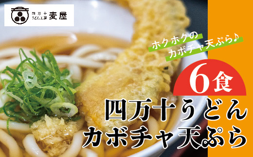 796 数量限定 四万十うどんとカボチャの天ぷら６食セット 高知県四万十市 ふるさと納税 ふるさとチョイス