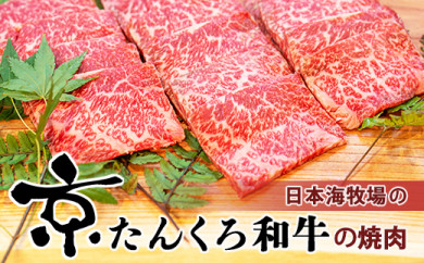 【赤身の旨味】京都ブランド牛「京たんくろ和牛」の焼肉