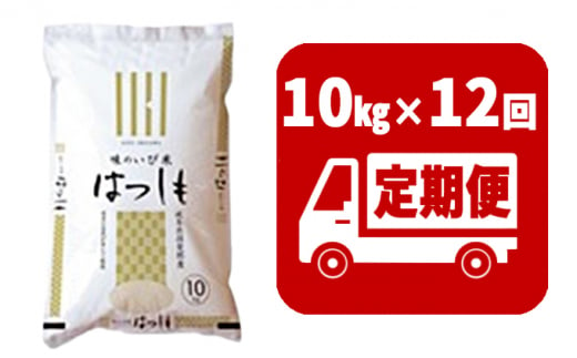 [№5568-0183]定期便　揖斐郡産  味のいび米はつしも精米10kg×12ヶ月