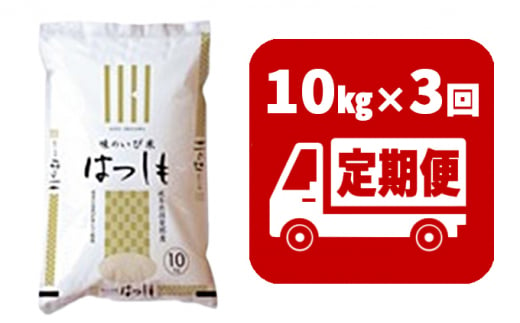 [№5568-0181]定期便　揖斐郡産  味のいび米はつしも精米10kg×3ヶ月