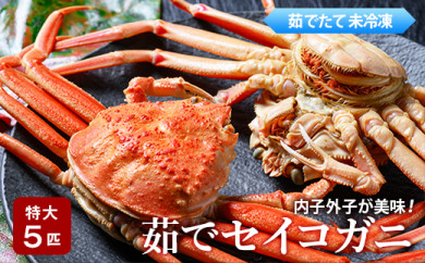 【蟹の匠 魚政】内子外子が美味! 茹でたて セイコガニ(セコ蟹)(香箱ガニ)(こっぺ) 特大サイズ 5匹セット